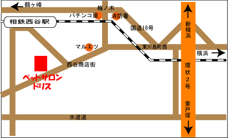 周辺地図
